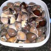 ヒメ日記 2026/03/15 22:36 投稿 玉井美空 五十路マダム 浜松店(カサブランカグループ)