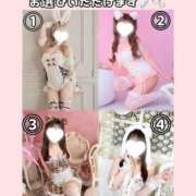 ヒメ日記 2026/04/06 13:13 投稿 るか TOKYO BUNNYS CLUB