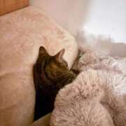 ヒメ日記 2026/04/08 21:23 投稿 るか TOKYO BUNNYS CLUB