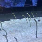 ヒメ日記 2026/03/31 12:09 投稿 山本 鶯谷デッドボール