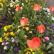 山本 明日から💖 鶯谷デッドボール