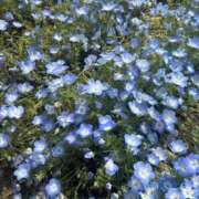 山本 我慢してたょ𖦹𖧉𖦹 鶯谷デッドボール