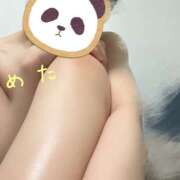 ヒメ日記 2026/03/26 23:30 投稿 めたもん 上野ハンドメイド