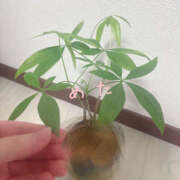 ヒメ日記 2026/04/04 20:37 投稿 めたもん 上野ハンドメイド