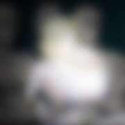 ヒメ日記 2026/04/08 16:58 投稿 めたもん 上野ハンドメイド