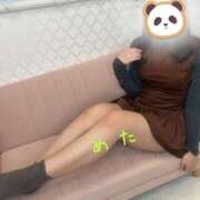 ヒメ日記 2026/04/23 16:56 投稿 めたもん 上野ハンドメイド