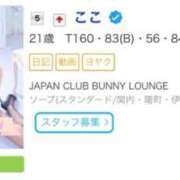 ここ 謝謝💯 JAPAN CLUB BUNNY LOUNGE