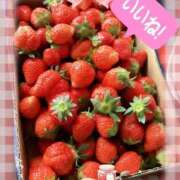 ヒメ日記 2026/03/20 06:31 投稿 さくら モアグループ熊谷人妻花壇