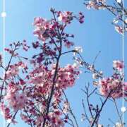 ヒメ日記 2026/03/24 19:41 投稿 さくら モアグループ熊谷人妻花壇