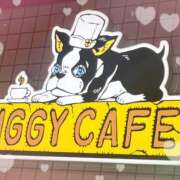 ヒメ日記 2026/03/27 23:55 投稿 さくら モアグループ熊谷人妻花壇