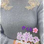 ヒメ日記 2026/03/29 11:25 投稿 さくら モアグループ熊谷人妻花壇