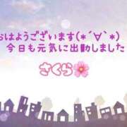 ヒメ日記 2026/04/13 10:01 投稿 さくら モアグループ熊谷人妻花壇