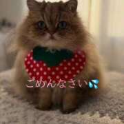 ヒメ日記 2026/03/21 10:06 投稿 めぐみ 熟女ばかり