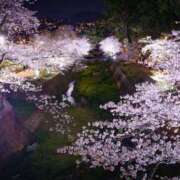 ヒメ日記 2026/04/08 09:37 投稿 めぐみ 熟女ばかり