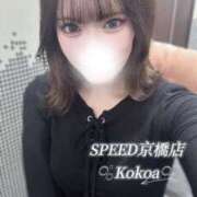 ここあ 新人＠ここあ（スピード京橋店） スピード京橋店