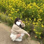 ヒメ日記 2026/03/21 23:41 投稿 しほ★完未！純真無垢な現役JD 渋谷S級素人清楚系デリヘル chloe