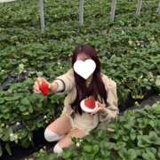 ヒメ日記 2026/03/22 17:07 投稿 しほ★完未！純真無垢な現役JD Chloe五反田本店　S級素人清楚系デリヘル