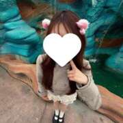 しほ★完未！純真無垢な現役JD ディズニー行ってきたの🐭💓 Chloe五反田本店　S級素人清楚系デリヘル