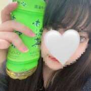 ヒメ日記 2026/04/17 20:27 投稿 るい 谷町人妻熟女奉仕倶楽部