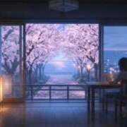 ヒメ日記 2026/04/07 07:08 投稿 前田なこ 五十路マダムエクスプレス横浜店（カサブランカグループ）