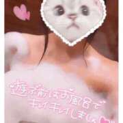 ヒメ日記 2026/07/07 15:15 投稿 美月ろぜ★透き通るような美貌 PLAY