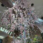 ヒメ日記 2026/04/19 20:09 投稿 西川あいな おいしい人妻熟女