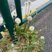 西川あいな 4/18お越しのS様へ❤️ おいしい人妻熟女