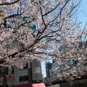 ヒメ日記 2026/04/03 10:02 投稿 ひとみ 小岩人妻花壇