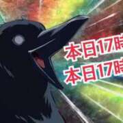 ヒメ日記 2026/04/28 06:59 投稿 マヤ バニーコレクション秋田店