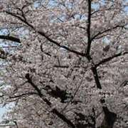 ヒメ日記 2026/04/07 14:06 投稿 西川あいな おいしい奥様