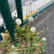 ヒメ日記 2026/04/18 12:46 投稿 西川あいな おいしい奥様