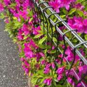 ヒメ日記 2026/04/19 20:26 投稿 西川あいな おいしい奥様