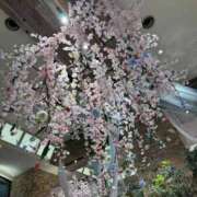 ヒメ日記 2026/04/19 20:46 投稿 西川あいな おいしい奥様