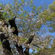 ヒメ日記 2026/04/26 23:41 投稿 西川あいな おいしい奥様