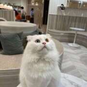 ヒメ日記 2026/03/13 23:24 投稿 あいむ しろわい 仙台店