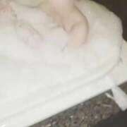 ヒメ日記 2026/04/01 11:44 投稿 日向なこ デリス新宿