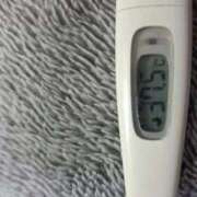 しゅんか【業界未経験】 ごめんなさい 茨城水戸ちゃんこ