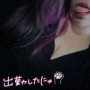 ヒメ日記 2026/04/17 19:20 投稿 ここ 愛知三河安城岡崎ちゃんこ