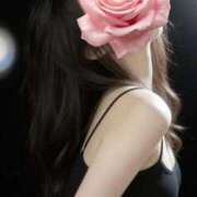 ヒメ日記 2026/04/21 06:24 投稿 かれん♡奇跡のスレンダー美少女♡ 即生専門店ゴッドパイ