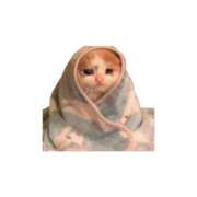 ヒメ日記 2026/03/29 03:28 投稿 えみり 赤坂添い寝女子