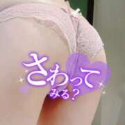 ヒメ日記 2026/04/10 13:58 投稿 えみり 赤坂添い寝女子