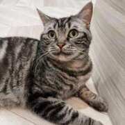 さき 出勤しました☪️ 熟女の風俗最終章 仙台店