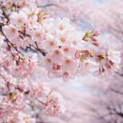 ヒメ日記 2026/03/28 18:37 投稿 真由/まゆ 五反田アネージュ（ユメオト）