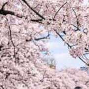 ヒメ日記 2026/04/11 03:00 投稿 真由/まゆ 五反田アネージュ（ユメオト）