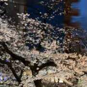 ヒメ日記 2026/04/06 13:01 投稿 めい スピードエコ京橋店