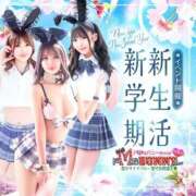ヒメ日記 2026/04/03 10:36 投稿 すず ドMなバニーちゃん すすきの店