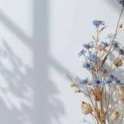 ヒメ日記 2026/04/08 15:46 投稿 まりん ジュエルズ