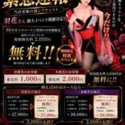 ヒメ日記 2026/08/12 08:52 投稿 羽花 GODZUMA（ゴッヅマ）