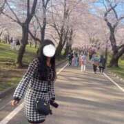 ノア したいなあ♡ 川崎美女革命