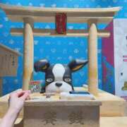 ヒメ日記 2026/07/09 13:50 投稿 Manon THE PREMIUM （プレミアム）